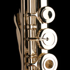 Dean Yang Emerald Special - Inline