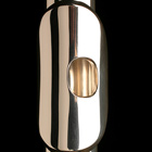 Dean Yang Topaz