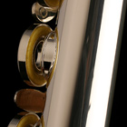 Dean Yang Topaz